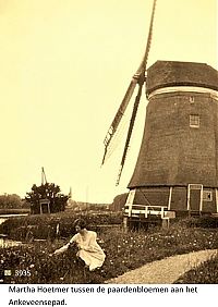 3935_Bloemen_molen_Ankeveensepad.jpg