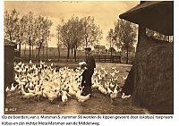 Bestandsnaam=4427_Boerderij_J_Marsman_Middenweg.jpg
Bestandsgrootte=525KiB
Afmetingen = 1754x1240
Datum toegevoegd = 26-10-2021 4427_Boerderij_J_Marsman_Middenweg.jpg