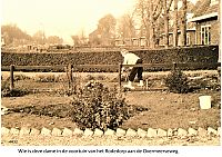 Bestandsnaam=4432_Voortuin_rode-dorp_Overmeerseweg_.jpg
Bestandsgrootte=560KiB
Afmetingen = 1754x1240
Datum toegevoegd = 27-10-2021 4432_Voortuin_rode-dorp_Overmeerseweg_.jpg