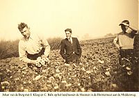 Bestandsnaam=914__v_d_berg__bloemen_middenweg.jpg
Bestandsgrootte=327KiB
Afmetingen = 1754x1240
Datum toegevoegd = 03-09-2021 914__v_d_berg__bloemen_middenweg.jpg