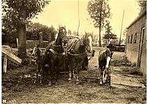 Bestandsnaam=Bij_de_boerderij_Van_de_Broek_.jpg
Bestandsgrootte=353KiB
Afmetingen = 1754x1240
Datum toegevoegd = 21-01-2020 Bij_de_boerderij_Van_de_Broek_.jpg