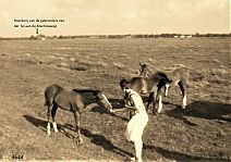 Bestandsnaam=Paarden_op_de_Horstermeerdijk_.jpg
Bestandsgrootte=289KiB
Afmetingen = 1754x1240
Datum toegevoegd = 24-03-2020 Paarden_op_de_Horstermeerdijk_.jpg