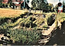 Bestandsnaam=_Groente_tuin_lans_de_Vreelandseweg.jpg
Bestandsgrootte=719KiB
Afmetingen = 1754x1240
Datum toegevoegd = 29-02-2020 _Groente_tuin_lans_de_Vreelandseweg.jpg