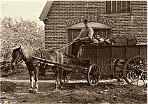 _Paardenwagen_met_houtenwielen.jpg