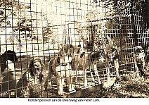 Bestandsnaam=__Honden_pensoin.jpg
Bestandsgrootte=708KiB
Afmetingen = 1754x1240
Datum toegevoegd = 27-09-2020 __Honden_pensoin.jpg