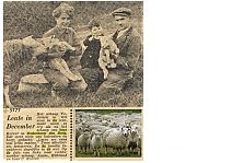 Bestandsnaam=__Schapen_geboren_.jpg
Bestandsgrootte=358KiB
Afmetingen = 1754x1240
Datum toegevoegd = 27-09-2020 __Schapen_geboren_.jpg