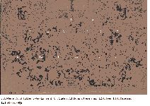 Bestandsnaam=__Voor_het_kasteel_Notabelen_.gif
Bestandsgrootte=397KiB
Afmetingen = 1122x793
Datum toegevoegd = 22-10-2020 __Voor_het_kasteel_Notabelen_.gif