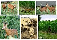 Bestandsnaam=_natuur_Meerlaan.jpg
Bestandsgrootte=604KiB
Afmetingen = 1754x1240
Datum toegevoegd = 09-08-2021 _natuur_Meerlaan.jpg