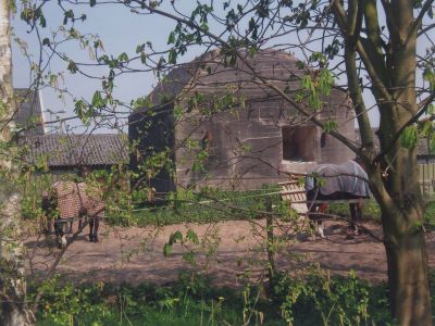 Bunker-op-het-terrein-van-Egbert-vd-Berg
Bunker achteraan de Meerlaan, op het terrein van Egbert vd Berg
