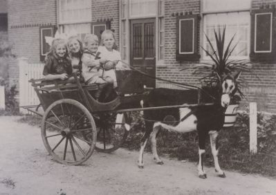 Kinderen-met-Bokkenwagen
Kinderen met bokkenwagen voor de boerderij van de familie Nagel .
Voorste twee kinderen zijn Maria Cornelia Spruijt geb 22-02-1900 Nicolaas Spruijt geb 22-07-1908.
 Achterste kinderen zijn onbekend Zie ook reg nr 1-36-5
