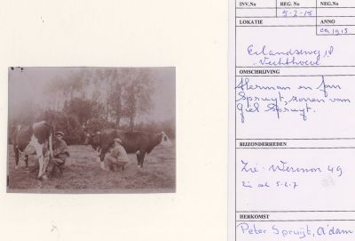 Gebr-Spruijt-aan-het-melken
Herman en Jan Spruijt zonen van Giel Spruijt aan het handmelken in het land.
 Zie Werinon 49.
 Zie ook 5-2-7.

