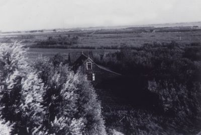 Boerderij-van-Mijwaart
Boerderijtje van Mijwaart later van kunstschilder Lou Haver Vanuit de tweede Kortenhoefse molen genomen Achtergrond Vreelandseweg in aanleg Verderop Zandzuigers in de Wijde Blik

