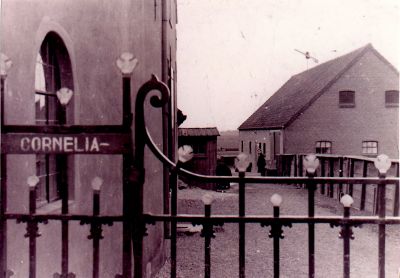 Boerderij-Corneliahoeve
Corneliahoeve van de fam Th Groenendaal. 
Op de voorgrond het hek met de tekst Corneliahoeve.
Op de achtergrond de onbebouwde Kuijerpolder.
Trefwoorden: Boerderij