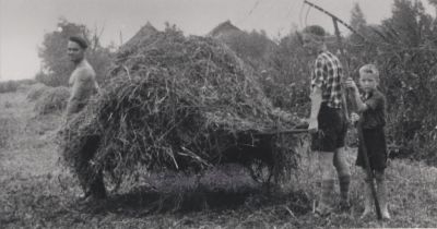 Hooioogst
Achter de Rode Buurt 
Willem van der Vliet tijdens de hooioogst in de Blijkpolder.
