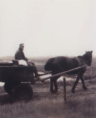 H-van-Ruitenbeek-op-het-paard
H. van Ruitenbeek op het paard. Herman en Wanda. Aan de Middenweg 126 in de Horstemeer.
Trefwoorden: Middenweg, paard en wagen