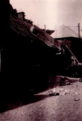 Sloop-stal-achterzijde-boerderij
Aan de achterzijde van de boerderij van de familie Th Groenendaal wordt de oude stal gesloopt.
Trefwoorden: Voorstraat