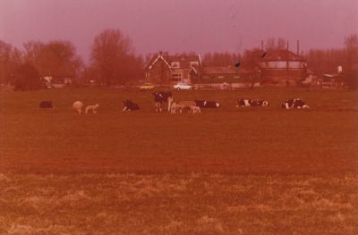 Boerderij-van-Wenneker
Boerderij van de Familie Wenneker.  De naam van de boerderij is Roosendaal.
Bouwjaar ????
In 1988 afgebroken en ernaast is een nieuwe boerderij gebouwd, ook met de naam 
Roosendaal
