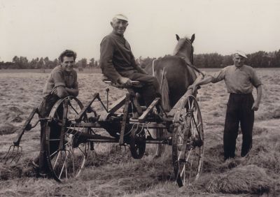 Hooien
Hooien op Het Eiland in de Horn en Kuijerpolder door Charles (Karel) Wenneker – Piet Schoordijk – vader (Jan) van Charles (Karel) Wenneker.
Later heeft een zoon van W. v. Wijk op de boerderij van Piet Schoordijk gezeten tot ca. 2003.
Trefwoorden: hooien