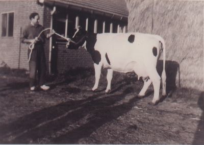 Hooibouw
Fam.Smits aan de hooibouw.
Trefwoorden: Boerderij de Eborg