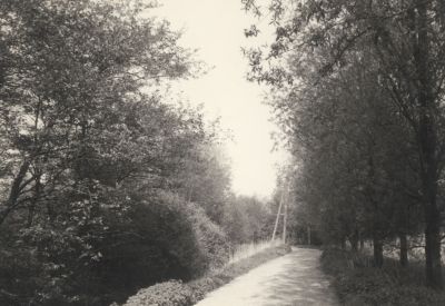 Toegangsweg-tot-camping-Vechtoever
Toegangsweg tot Camping 