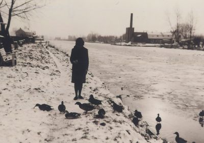 Ria-Overes
Ria Overes aan het eenden voeren op het jaagpad langs de Vecht in Overmeer- Aan de overkant Wasserij De Helling van de familie Dubelaar
Trefwoorden: Bewoner Inwoner