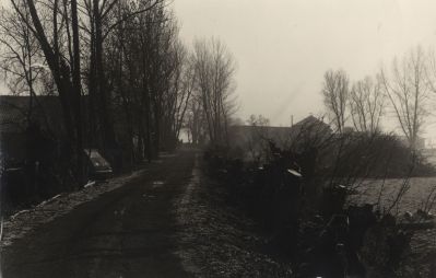 Knotten-van-Wilgen
Eilandseweg- Rechts de boerderij Dorpzicht van Korver-  Links stond de voormalige wasserij van  ome Judas  Hageman- Bij de schuur links woonde Jaap Gorlee-   De wilgen zijn geknot door de werkgroep Milieudefensie
Trefwoorden: Grote-Eiland