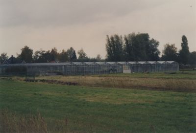 Kassen
6-15-11 Kwekerij en woonhuizen van de Gebr Schaper  De bus reed toen nog door de polder (zie bushalte) Inmiddels geen verbinding meer met Hilversum
Trefwoorden: Horstermee