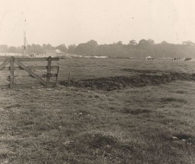 Boerderij-Groenendaal
Zicht op Boerderij Groenendaal in de Horn- en Kuijerpolder
