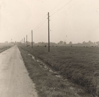 Boerderij-Groenendaal
Zicht op boerderij van Groenendaal op de Eilandseweg 4
