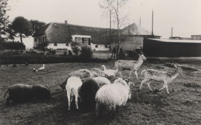 Boerderij-Fam-Korver
Boerderij dierenpark van de familie Korver.
Monumentale boerderij rijksmonument.
