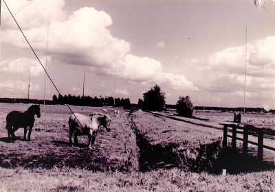 Horstermeerpolder-met-zicht-op-de-Nera
Paarden van de familie Stoker   Deze hebben tot circa 1963 op het bedrijf gewerkt
Trefwoorden: Horstermeer