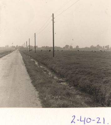 Zicht-op-het-het-Eiland-vanaf-de-Torenweg
Zicht-op-het-het-Eiland-vanaf-de-Torenweg
Trefwoorden: eiland