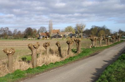 Knotwilgen
Op de grens van Holland en Utrecht werd in 1326 een dam in de Vecht gelegd om het zeewater van de Zuiderzee tegen te houden. Bij de dam ontstond een gehucht. Een eeuw later kwam er een sluis. In 1674 kwam de sluis bij Muiden te liggen. De Hinderdam bleef een verdedigingswerk en werd later onderdeel van de Stelling van Amsterdam en de Nieuwe Hollandse Waterlinie. Een tijdje (tussen 1780 en 1819) lag hier een brug, daarna voer er een pont. In 1949 werd de Spiegelweg aangelegd en kon de Hinderdam een rustig landweggetje worden. Het fort is veroverd door de natuur.
GPS: N 52º 16.900’ O 5º 3.175’
Trefwoorden: QR_002 Fietsen en Wandelen