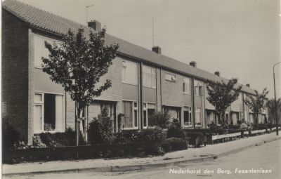 Straat-in-de-Vogelbuurt
Hoekhuis nr 1 Nic Breed nr 3 K de Liefde nr 7 J v d Meer
Trefwoorden: fasantenlaan