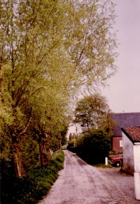 Vaartweg
Vaartweg was hier nog grintpad Het witte schuurtje rechts was groente opslag van groenteman Henk Ambachtsheer
Trefwoorden: Vaartweg