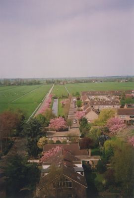 Horn-en-Kuijer-in-vogelvlucht
Gezicht op de Horn- en Kuijerpolder vanuit de toren van de Willibrordkerk.
Links de Torenweg, doorlopend tot aan de Eilandseweg. 
De weg met auto-s rechts is de V.van Goghstraat
