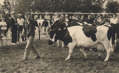 Veekeuring-Voorstraat
prijsuitreiking veekeuring
Trefwoorden: boerderijen Veekeuring
