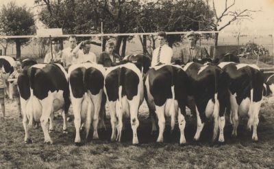 Veekeuring
veekeuring
Trefwoorden: boerderijen Veekeuring
