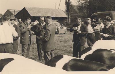 Veekeuring
Veekeuring-  Links de achterzijde van de kleermakerij van Willemsen en de woning van mw v d Voorn-  De oude stal van Th Groenendaal nu Ruysdaellaan
Trefwoorden: Boerderijen Veekeuring
