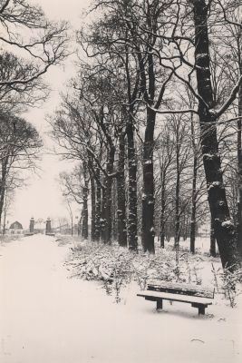 Oprijlaan-kasteel
Zicht op de Overmeerseweg vanaf de oprijlaan.
De loodsen van Expeditie van Zomeren staan er nog.
Later is op die plek en  het buitenterrein van dit bedrijf de Kasteelhof gebouwd (rond 2005).
Expeditie van Zomeren verhuisde naar het Utrechtse industrieterrein Lage Weide.
Trefwoorden: Kasteelhek