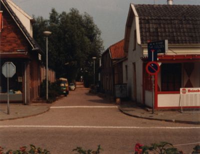 Zicht-op-de-Vaartweg
Links Brinkers  Rechts Het Chinese restaurant Golden Crown
Trefwoorden: Dorpszicht