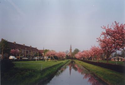 Prunusbomen-in-bloei
De sloot met op de achtergrond de toren van de Willibrordkerk.  
Links het speeltuintje aan de Vincent van Goghstraat.
Rechts de Torenweg.
In het voorjaar staan de Prunus bomen in bloei.
Trefwoorden: Horn-en Kuyerpolder