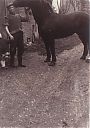 Bestandsnaam=A99999_(BRDR1)_@19600000F_@Piet Snoek met dochter Jolanda en paard_@Reeweg_@_(05-04-10-245_P-Snoek).jpg
Bestandsgrootte=606KiB
Afmetingen = 2245x3185
Datum toegevoegd = 16 apr 2021 A99999_(BRDR1)_@19600000F_@Piet Snoek met dochter Jolanda en paard_@Reeweg_@_(05-04-10-245_P-Snoek).jpg