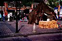 Bestandsnaam=A99999_(BVDG1)_@20050000F_@Pleinfeest_@Dammerweg_@_(06-25-07-370_Jan-Baar).jpg
Bestandsgrootte=908KiB
Afmetingen = 3065x2065
Datum toegevoegd = 16 apr 2021 A99999_(BVDG1)_@20050000F_@Pleinfeest_@Dammerweg_@_(06-25-07-370_Jan-Baar).jpg