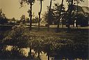 A99999_(HUIS1)_@19550000F_@Pand-aan-de-Meerlaan_@Meerlaan_@_(01-22-04-853_C-Neijsen).jpg