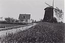 A99999_(NKVN1)_@19540000F_@Molen_@Ankeveensepad_@_(06-23-20-842_L-van-Weeghel).jpg