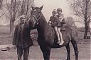 A99999_(PARD1)_@19670000F_@Fam-Ruitenbeek-met-paarden_@Middenweg_@_(05-08-24c-199_C-van-Ruitenbeek).jpg