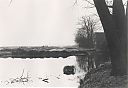 A99999_(PLDR1)_@19740000F_@Blijkpolder_@Blijkpolder_@_(03-17-03-354_Evert-Boeve).jpg