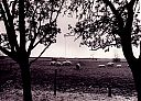 Bestandsnaam=A99999_(TZCH1)_@19690000F_@Varkens-in-de-wei_@Horstermeer_@_(05-07-02-542_Fam-Stoker).jpg
Bestandsgrootte=1607KiB
Afmetingen = 4001x2881
Datum toegevoegd = 18 apr 2021 A99999_(TZCH1)_@19690000F_@Varkens-in-de-wei_@Horstermeer_@_(05-07-02-542_Fam-Stoker).jpg