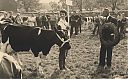 Bestandsnaam=A99999_(VEEV1)_@19610000F_@Veekeuring_@Voorstraat_@_(03-39-01b-646_Tamming).jpg
Bestandsgrootte=622KiB
Afmetingen = 3113x1945
Datum toegevoegd = 16 apr 2021 A99999_(VEEV1)_@19610000F_@Veekeuring_@Voorstraat_@_(03-39-01b-646_Tamming).jpg